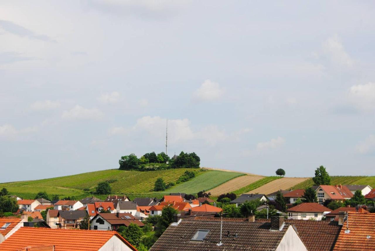 Ferienwohnung Kirchbergblick Hackenheim Bagian luar foto